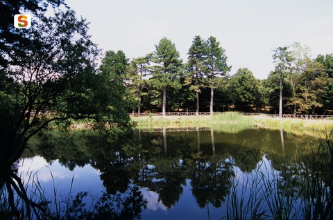 forest-anela-sardegna-sentieri